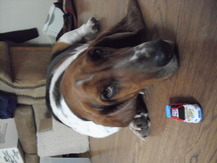 Giant Puppy - Annie H.