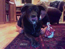 Giant Puppy - Dylan L.