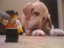 Giant Puppy - C. R.