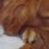 Giant Puppy - Giuliano M.