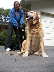 Giant Puppy - Laura P.