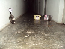 Saucepan with Googly Eyes - Danae S.
