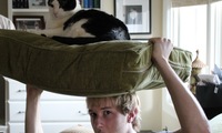 Cat on Dome - Andrew Finch