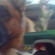 Giant Puppy - Brie M.