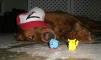 Giant Puppy - Garrett S.