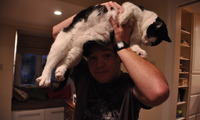 Cat on Dome - Benjamin D.