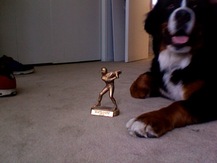 Giant Puppy - Josh P.