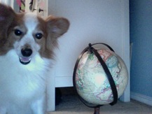 Giant Puppy - Sarah W.