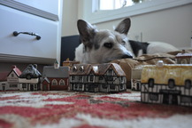 Giant Puppy - Shannon S.