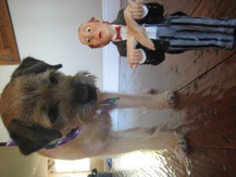 Giant Puppy - Jack B.