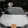 Piggy Bank Sunroof - Laura P.