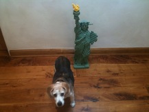 Giant Puppy - Alex W.