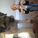 Giant Puppy - Jack B.
