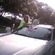 Piggy Bank Sunroof - Sarah W.